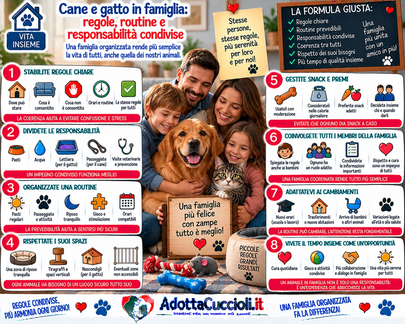 Cane e gatto in famiglia: regole, routine e responsabilità condivise