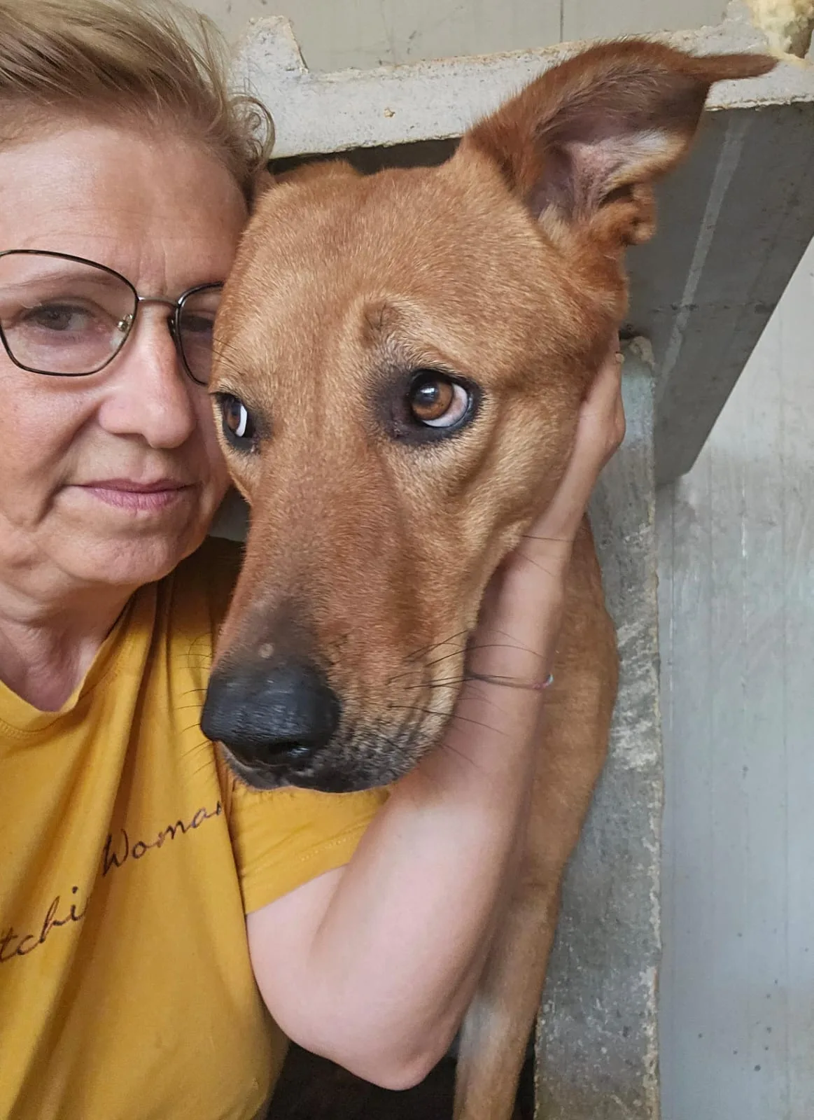 Elisi, cane Meticcio in adozione a Agrigento - foto 1