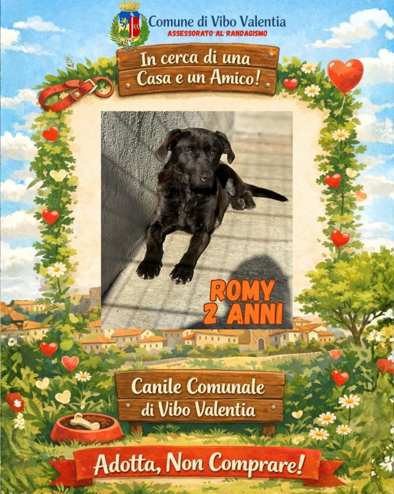 Romy, cane Meticcio in adozione a Vibo Valentia