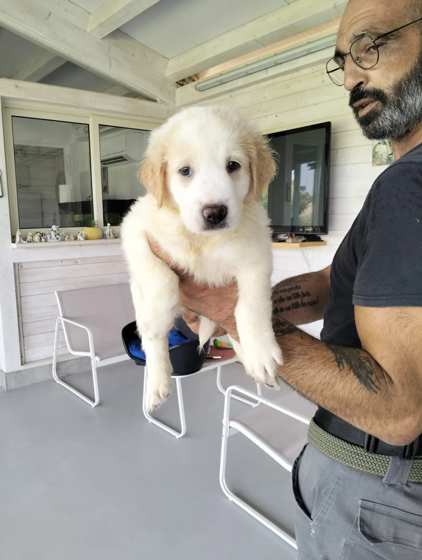 Pepa, cane Meticcio in adozione a Siracusa - foto 1