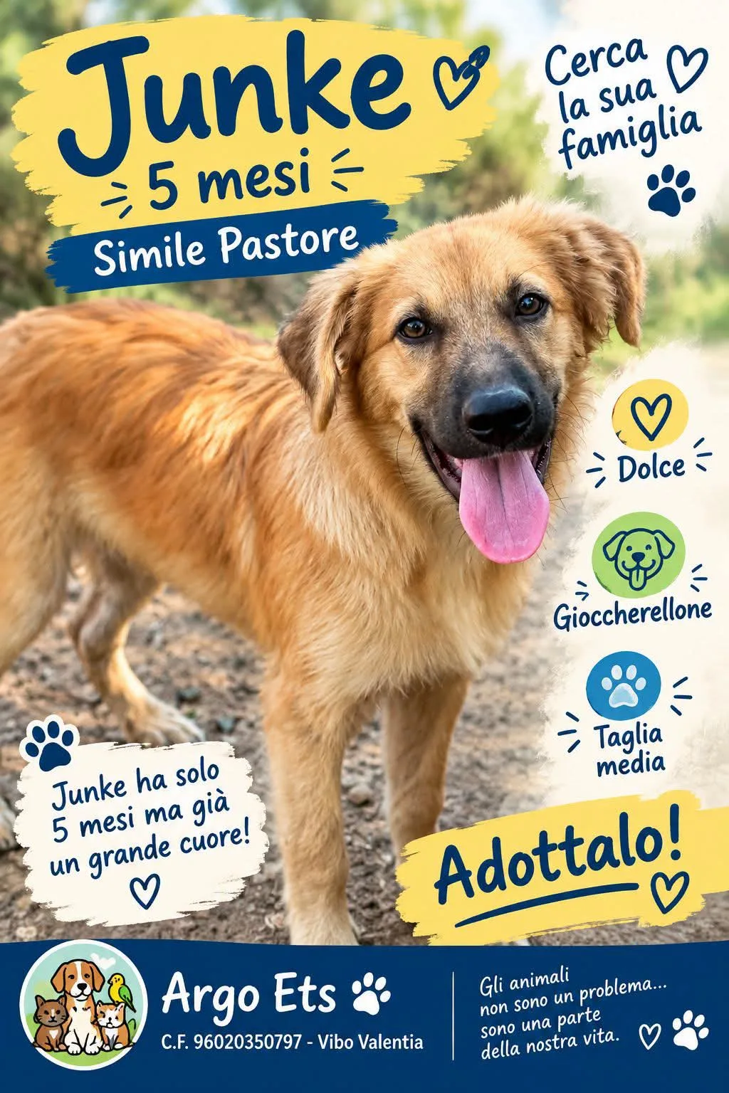 Junke, cane Meticcio in adozione a Vibo Valentia