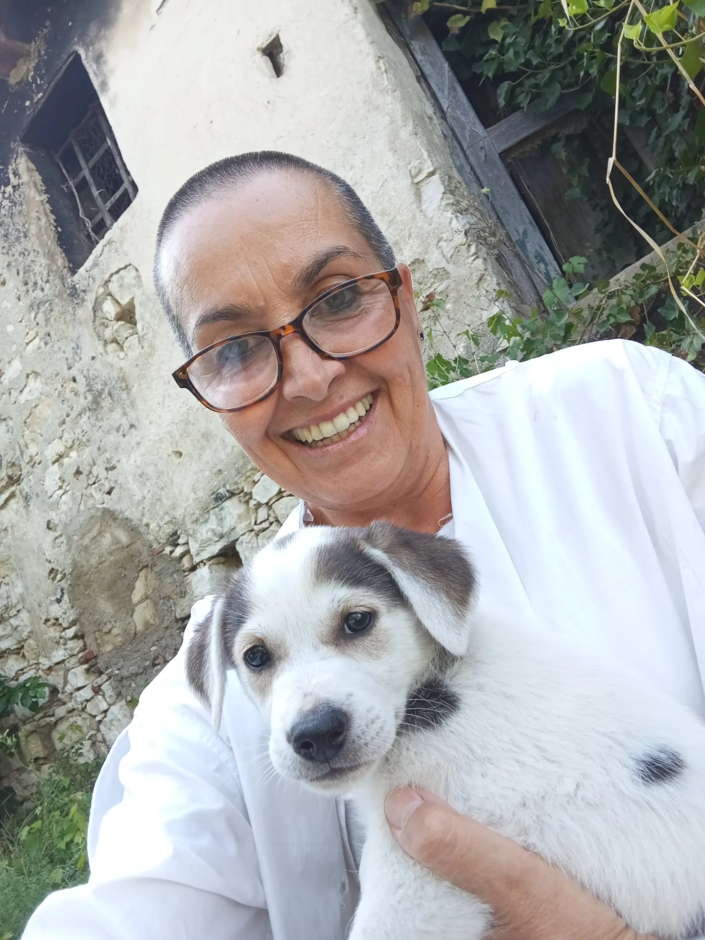 Foto 2 di Ariel, cane Meticcio in adozione