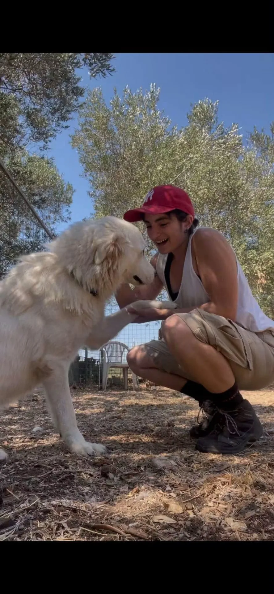 Sally, cane Maremmana in adozione a Bari - foto 5