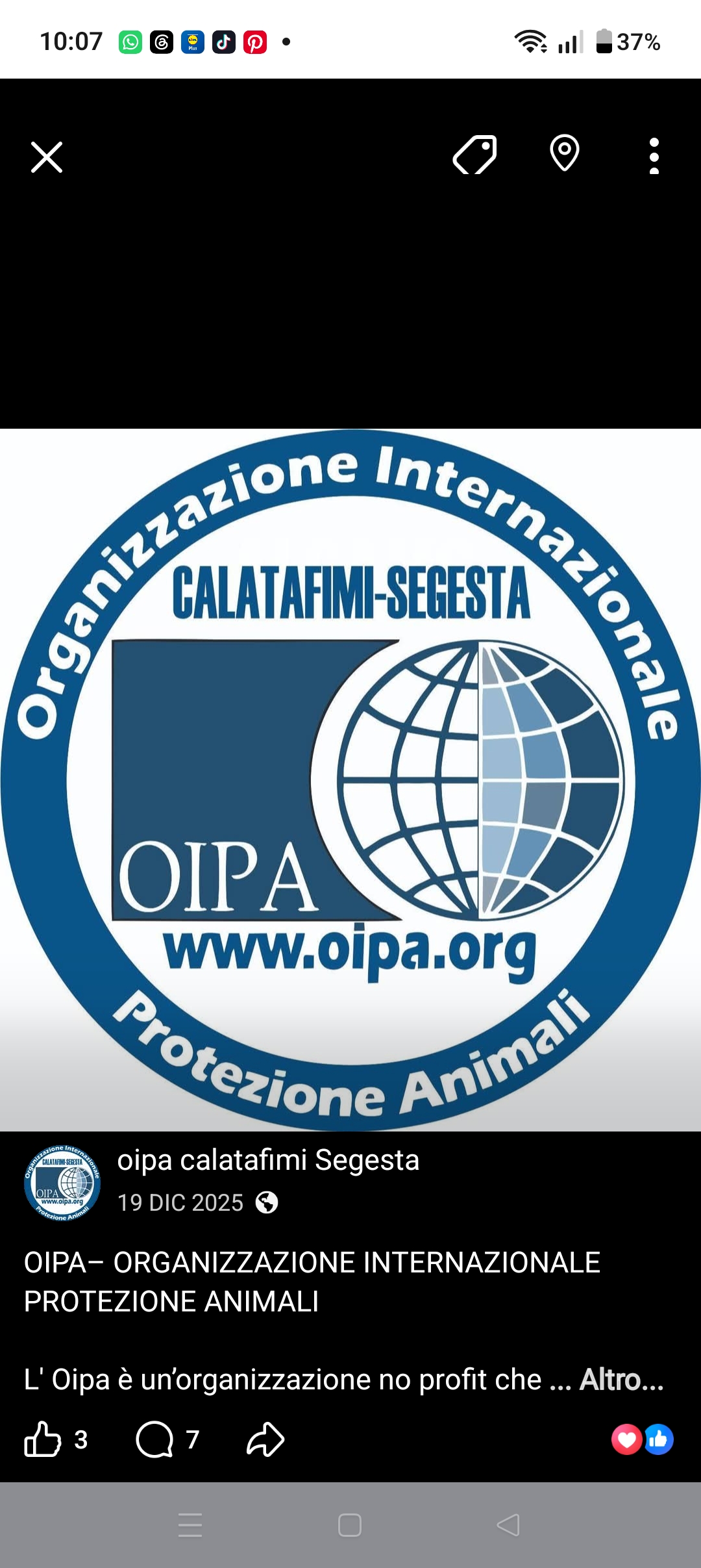 Foto profilo di Mariella Gandolfo