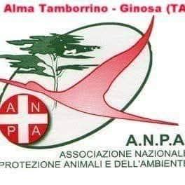 Foto profilo di Monica Mianulli