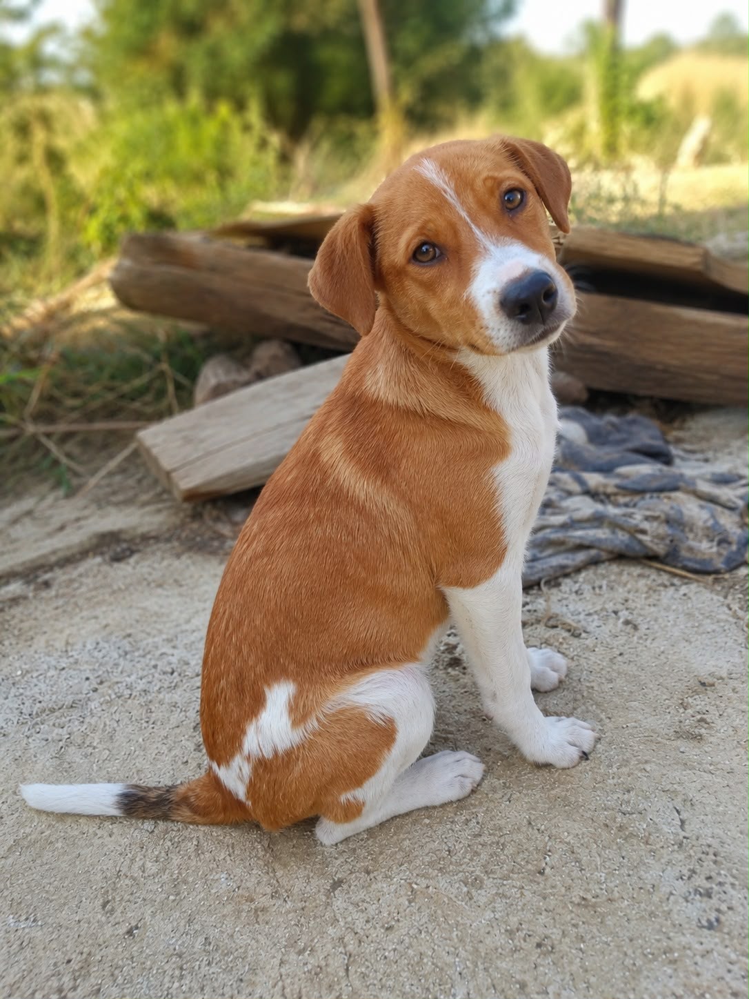 Foto profilo di Mariella Gandolfo