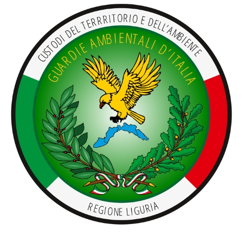 Immagine di Gadit OdV