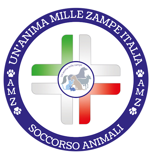 Foto profilo di Un'Anima Mille Zampe Italia AMZitalia