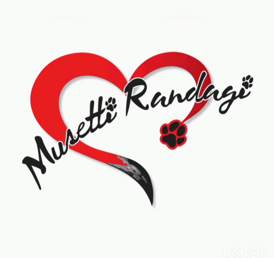 Immagine di Musetti Randagi ODV