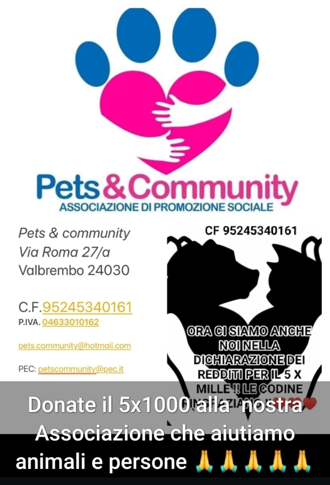 Immagine di PETS & COMMUNITY