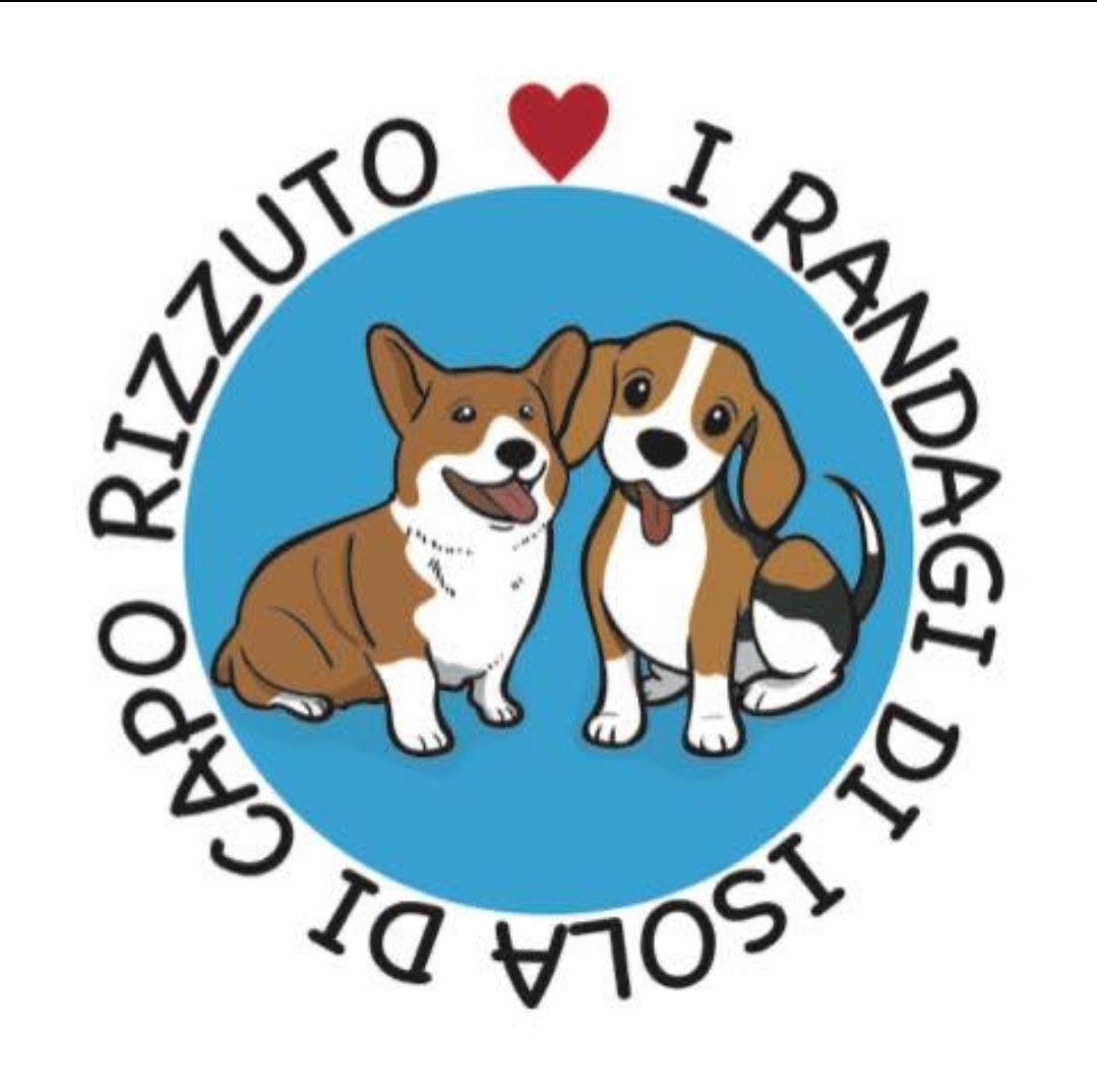 Foto profilo di Valeria Di Lalla