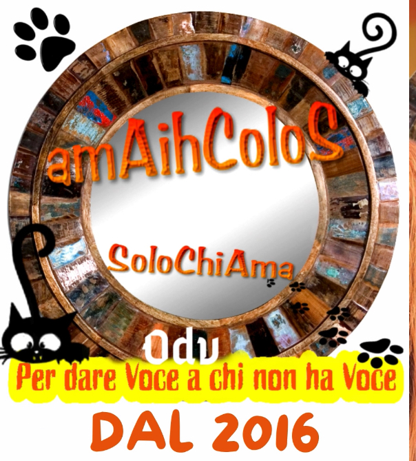 Immagine di Amaihcolos ODV