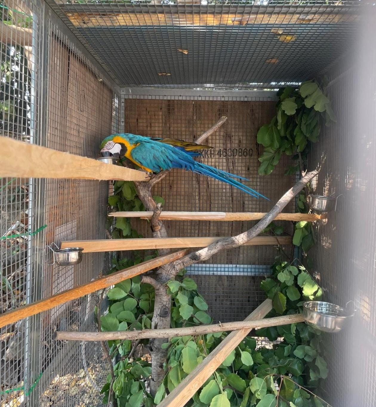 Foto di Giovanna Guagliardi